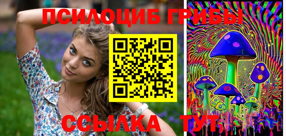 купить наркотики цена  Галлюциногенные грибы Cubensis  Вход с VPN  Алушта 