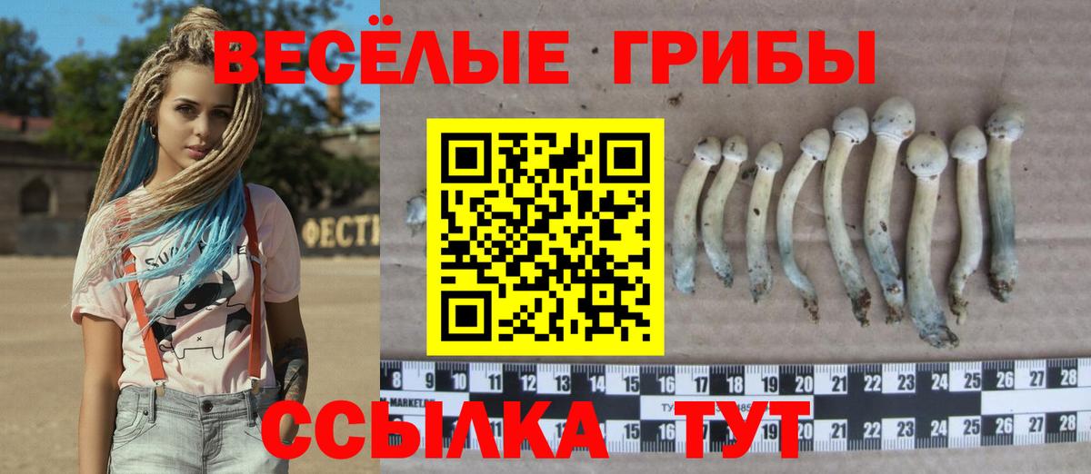 Галлюциногенные грибы мухоморы Алушта